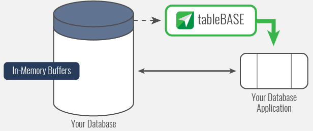 Pure In-Memory Technology